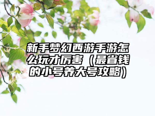 新手梦幻西游手游怎么玩才厉害（最省钱的小号养大号攻略）