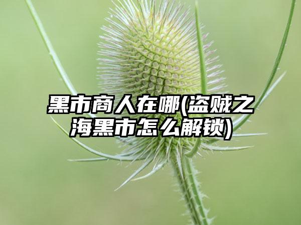 黑市商人在哪(盗贼之海黑市怎么解锁)