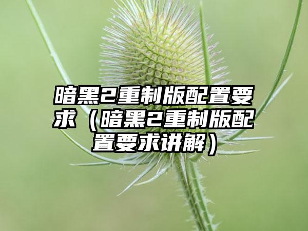 暗黑2重制版配置要求（暗黑2重制版配置要求讲解）