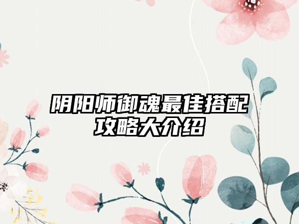 阴阳师御魂最佳搭配攻略大介绍