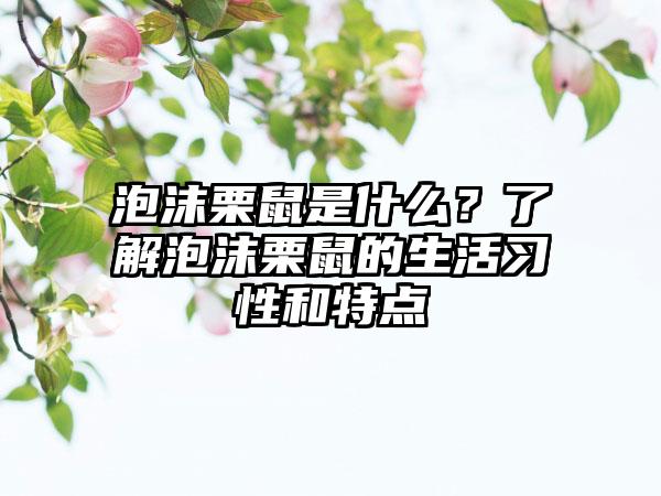泡沫栗鼠是什么？了解泡沫栗鼠的生活习性和特点