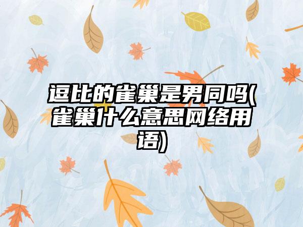 逗比的雀巢是男同吗(雀巢什么意思网络用语)