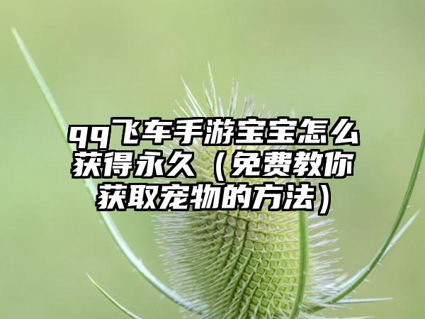 qq飞车手游宝宝怎么获得永久（免费教你获取宠物的方法）