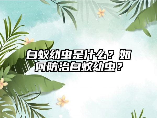 白蚁幼虫是什么？如何防治白蚁幼虫？