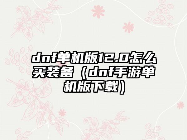 dnf单机版12.0怎么买装备（dnf手游单机版）