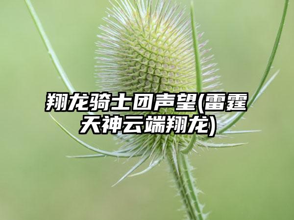 翔龙骑士团声望(雷霆天神云端翔龙)
