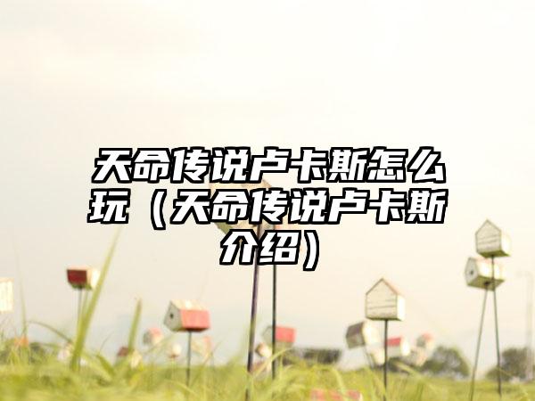 天命传说卢卡斯怎么玩（天命传说卢卡斯介绍）