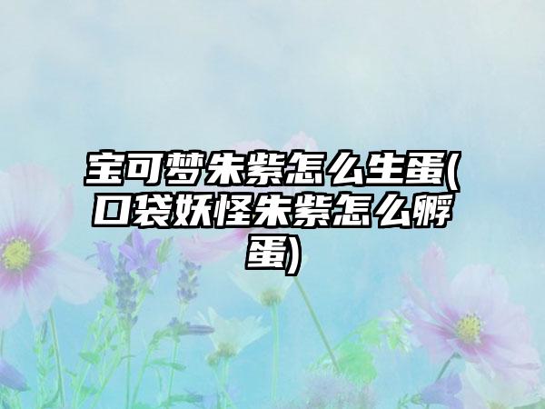 宝可梦朱紫怎么生蛋(口袋妖怪朱紫怎么孵蛋)