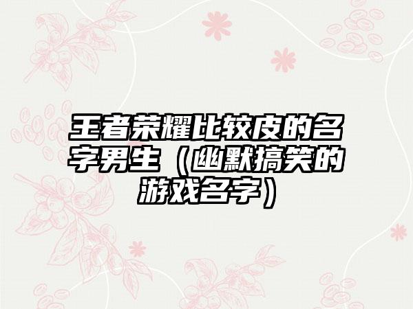 王者荣耀比较皮的名字男生（幽默搞笑的游戏名字）