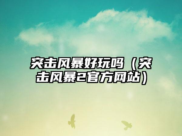 突击风暴好玩吗（突击风暴2官方网站）