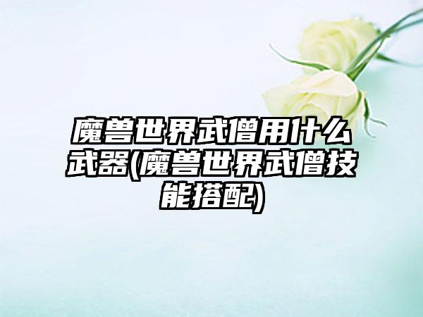 魔兽世界武僧用什么武器(魔兽世界武僧技能搭配)