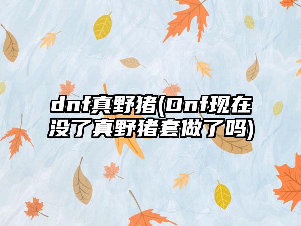 dnf真野猪(Dnf现在没了真野猪套做了吗)