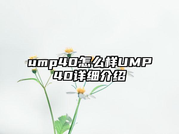 ump40怎么样UMP40详细介绍