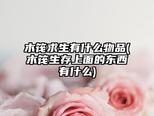 木筏求生有什么物品(木筏生存上面的东西有什么)