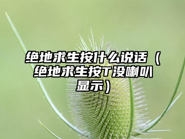 绝地求生按什么说话（绝地求生按T没喇叭显示）