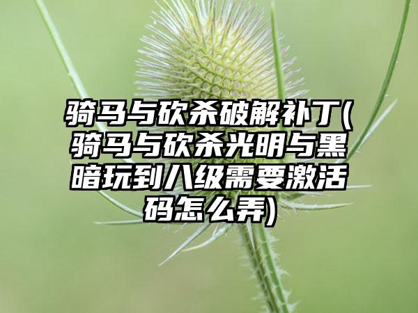 骑马与砍杀破解补丁(骑马与砍杀光明与黑暗玩到八级需要激活码怎么弄)