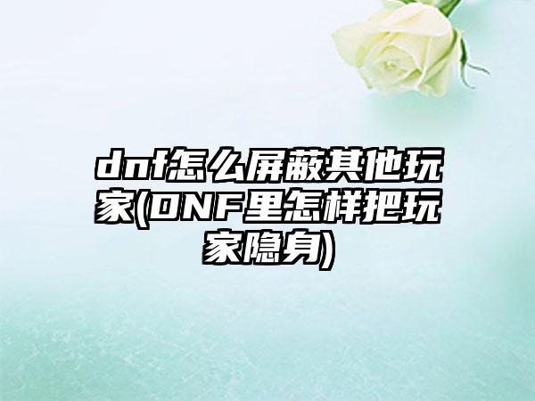 dnf怎么屏蔽其他玩家(DNF里怎样把玩家隐身)