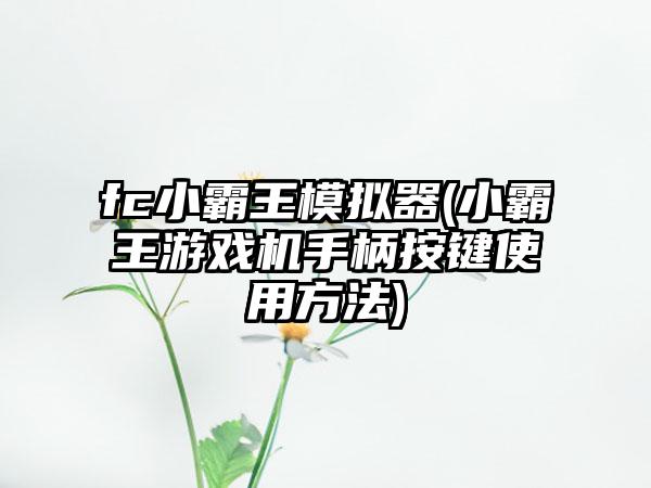 fc小霸王模拟器(小霸王游戏机手柄按键使用方法)