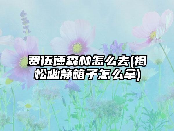 费伍德森林怎么去(褐松幽静箱子怎么拿)