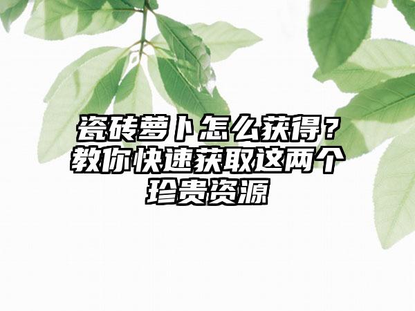 瓷砖萝卜怎么获得？教你快速获取这两个珍贵资源