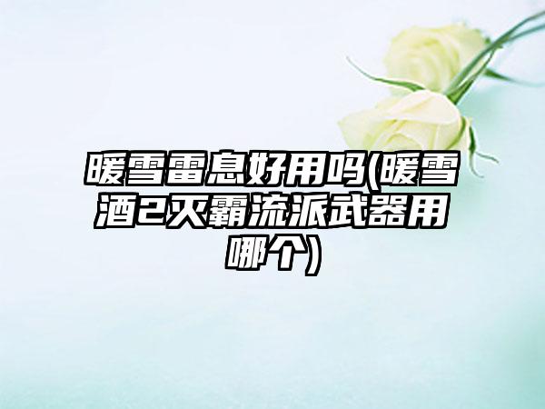 暖雪雷息好用吗(暖雪酒2灭霸流派武器用哪个)