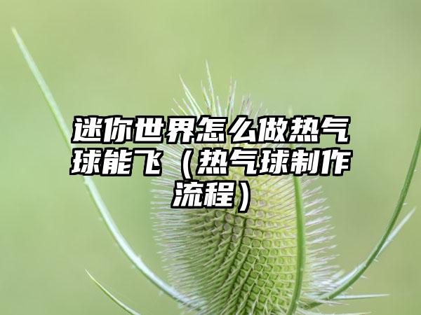 迷你世界怎么做热气球能飞（热气球制作流程）