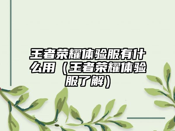 王者荣耀体验服有什么用（王者荣耀体验服了解）