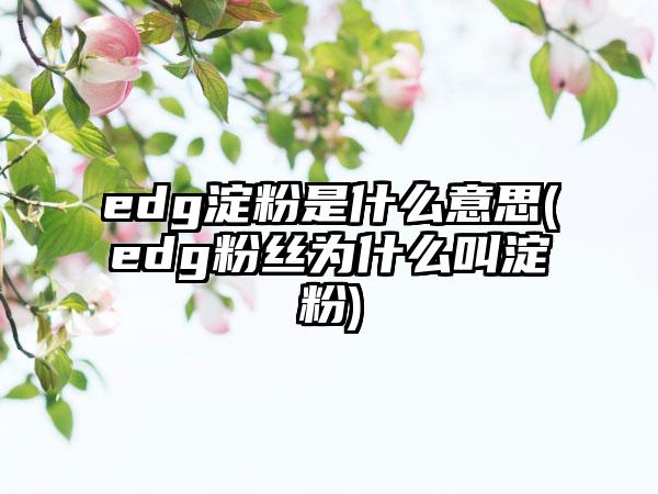 edg淀粉是什么意思(edg粉丝为什么叫淀粉)