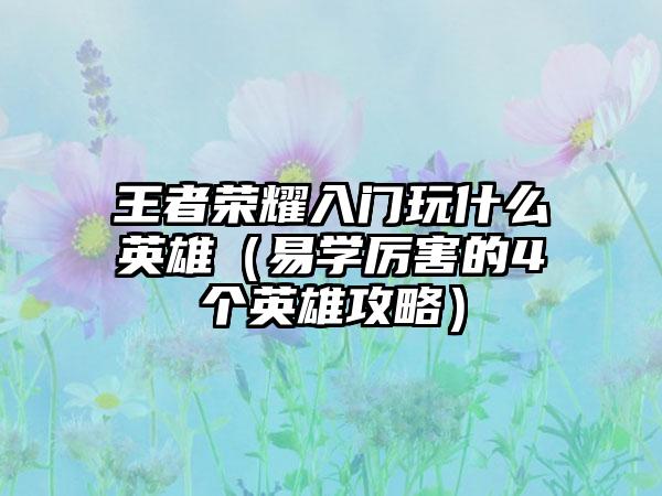 王者荣耀入门玩什么英雄（易学厉害的4个英雄攻略）