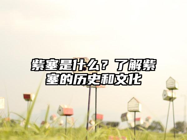 紫塞是什么？了解紫塞的历史和文化