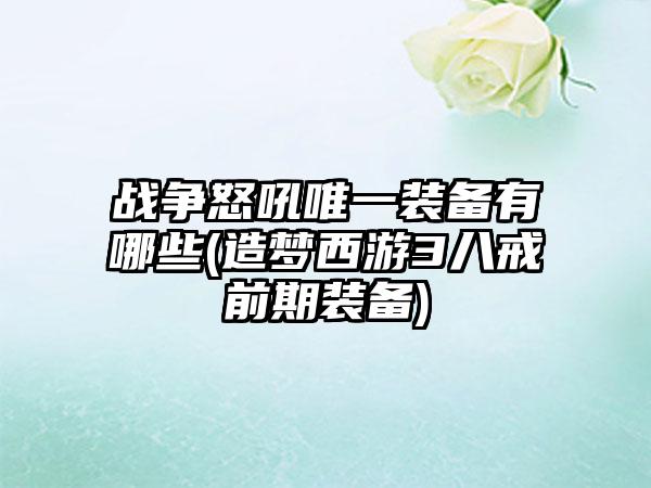 战争怒吼唯一装备有哪些(造梦西游3八戒前期装备)