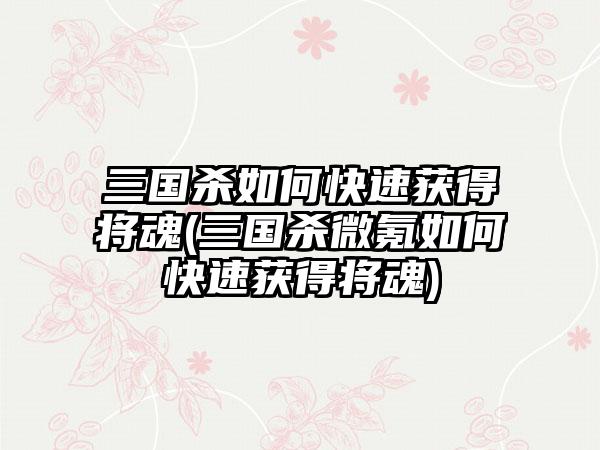 三国杀如何快速获得将魂(三国杀微氪如何快速获得将魂)