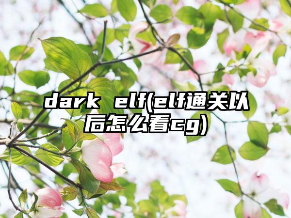 dark elf(elf通关以后怎么看cg)