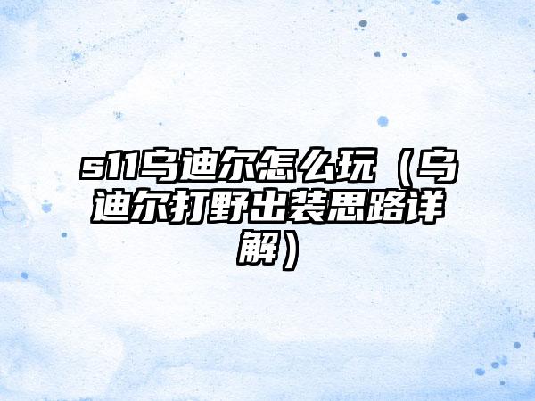 s11乌迪尔怎么玩（乌迪尔打野出装思路详解）