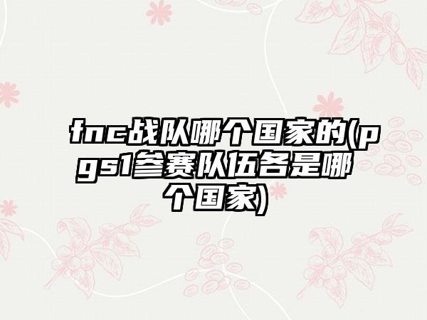 fnc战队哪个国家的(pgs1参赛队伍各是哪个国家)
