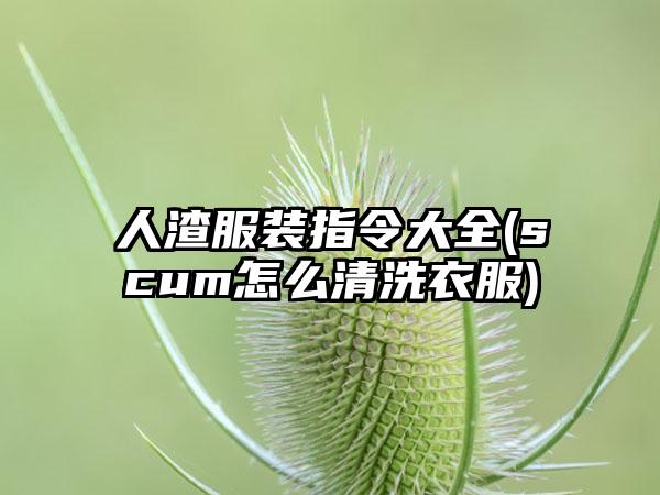 人渣服装指令大全(scum怎么清洗衣服)
