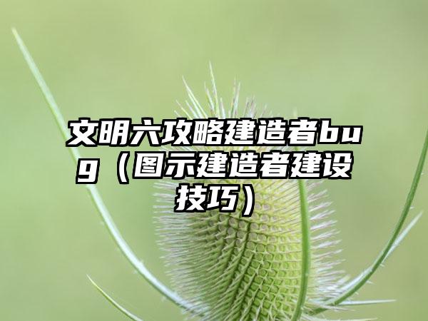 文明六攻略建造者bug（图示建造者建设技巧）