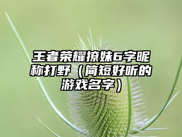 王者荣耀撩妹6字昵称打野（简短好听的游戏名字）