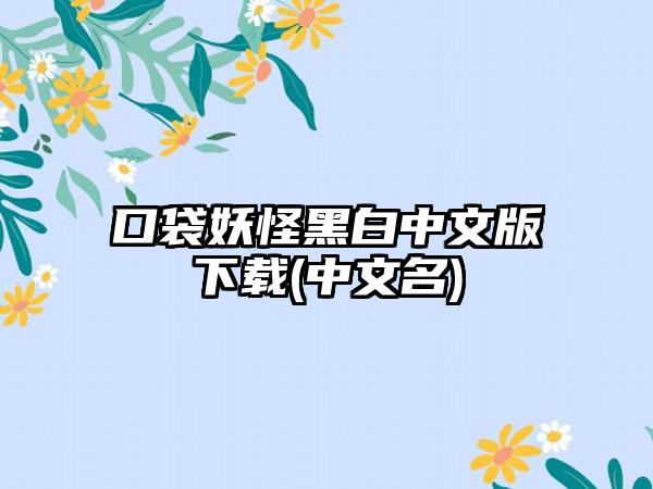 口袋妖怪黑白中文版(中文名)