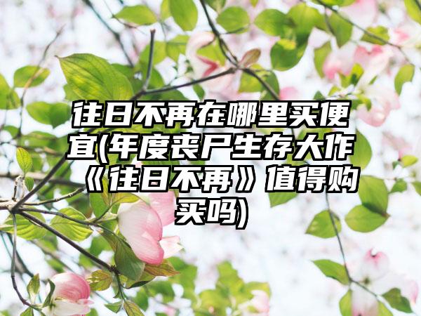 往日不再在哪里买便宜(年度丧尸生存大作《往日不再》值得购买吗)