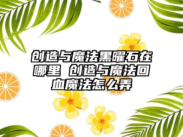 创造与魔法黑曜石在哪里 创造与魔法回血魔法怎么弄