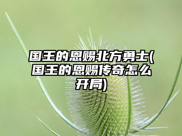 国王的恩赐北方勇士(国王的恩赐传奇怎么开局)