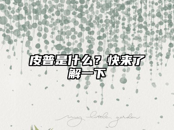 皮普是什么？快来了解一下