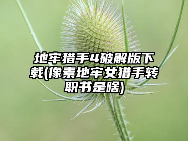 地牢猎手4破解版下载(像素地牢女猎手转职书是啥)