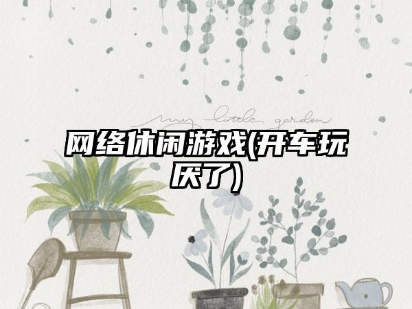 网络休闲游戏(开车玩厌了)