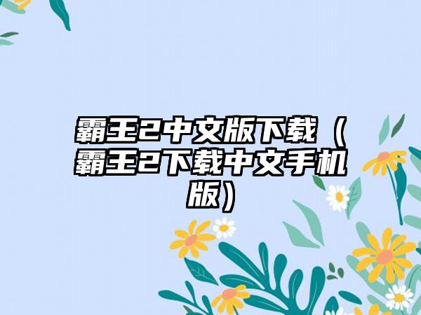 霸王2中文版（霸王2中文手机版）