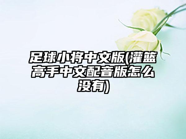 足球小将中文版(灌篮高手中文配音版怎么没有)