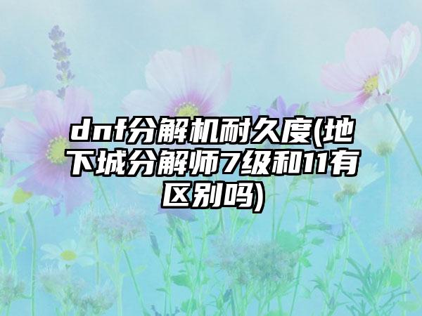 dnf分解机耐久度(地下城分解师7级和11有区别吗)