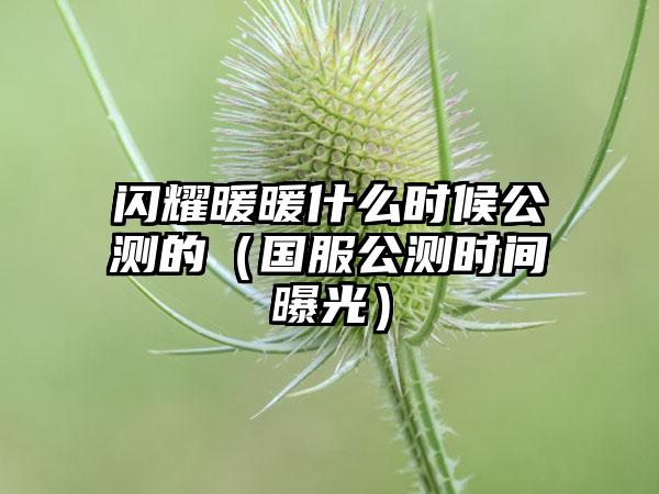 闪耀暖暖什么时候公测的（国服公测时间曝光）