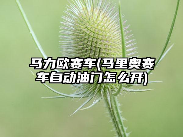 马力欧赛车(马里奥赛车自动油门怎么开)
